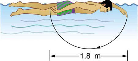 swimmer with one arm fully extended forward, other fully extended backward, 1.8 meters fingertip-to-fingertip