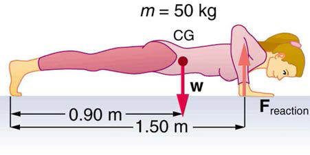 person doing pushup; center of mass 0.9 m from feet, hands on floor 1.5 m from feet, mass 50 kg