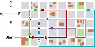 rectangular grid of city blocks with various paths